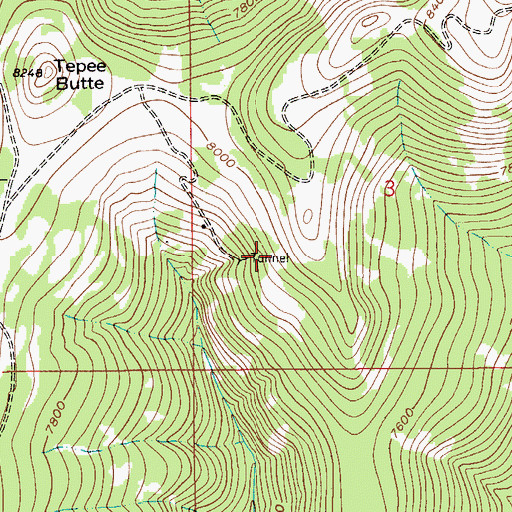 Topographic Map of SW SW Section 3 Mine, MT