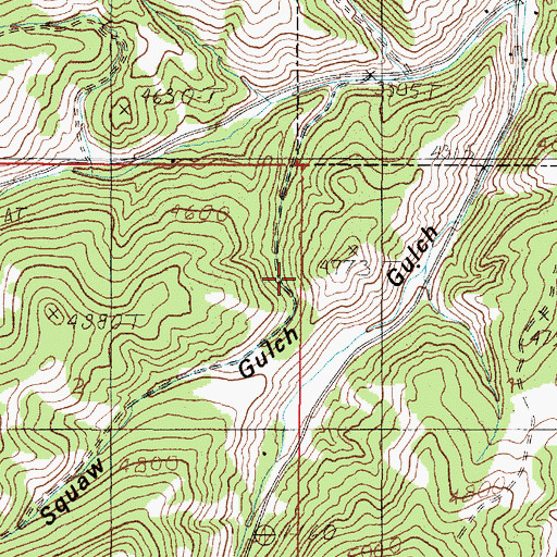 Topographic Map of Squaw Gulch Mine, MT