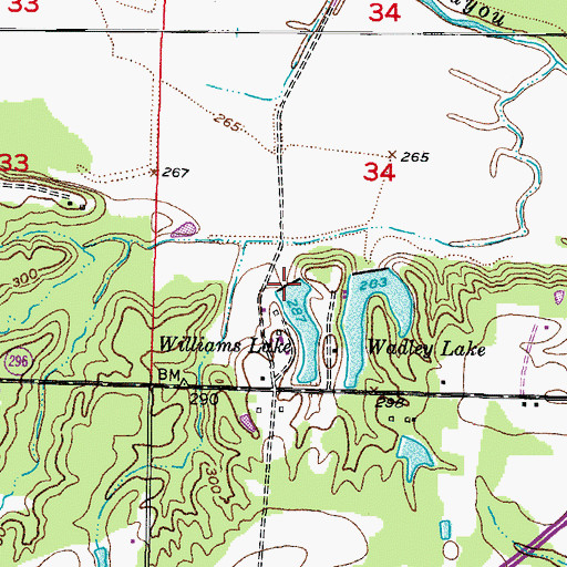 Topographic Map of Williams Lake Dam, AR