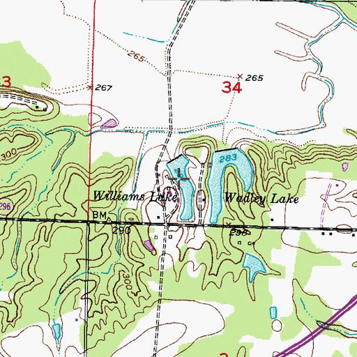 Topographic Map of Williams Lake, AR