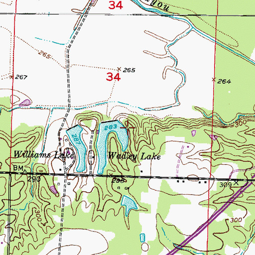 Topographic Map of Robinson Lake Dam, AR
