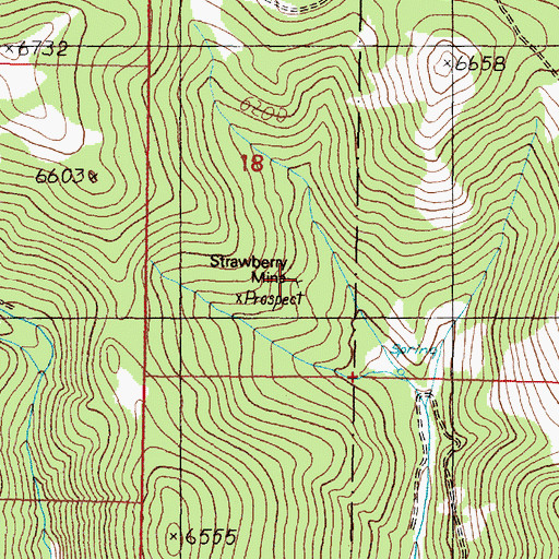 Topographic Map of Strawberry Mine, MT