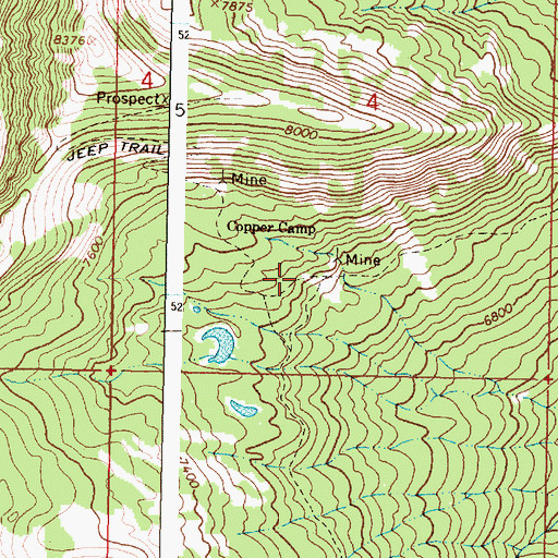 Topographic Map of SE SW Section 4 Mine, MT