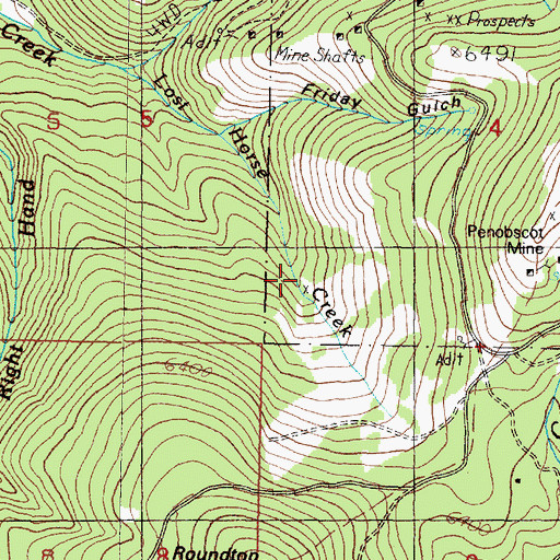 Topographic Map of Wild Cat Mine, MT
