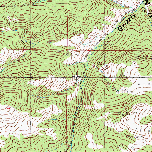 Topographic Map of SW NW Section 10 Mine, MT