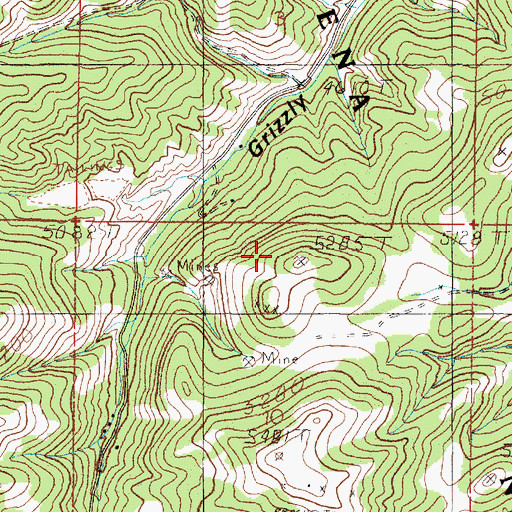Topographic Map of NE NW Section 10 Mine, MT