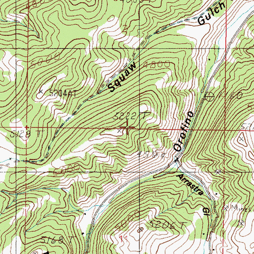 Topographic Map of NE NW Section 11 Mine, MT