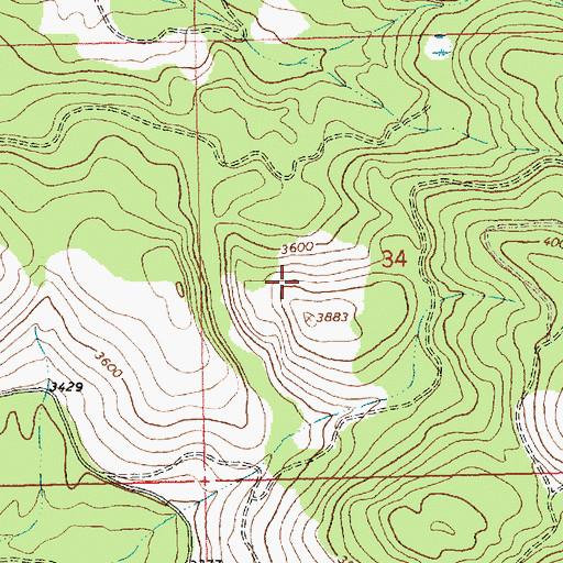 Topographic Map of Loon Lake Mine, MT