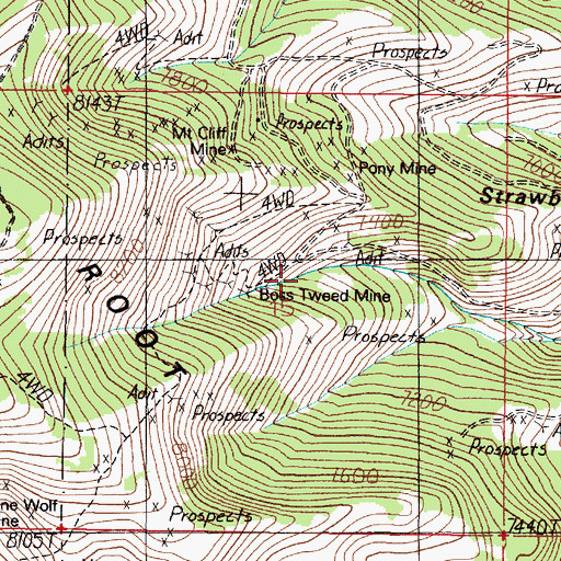 Topographic Map of Boss Tweed Mine, MT