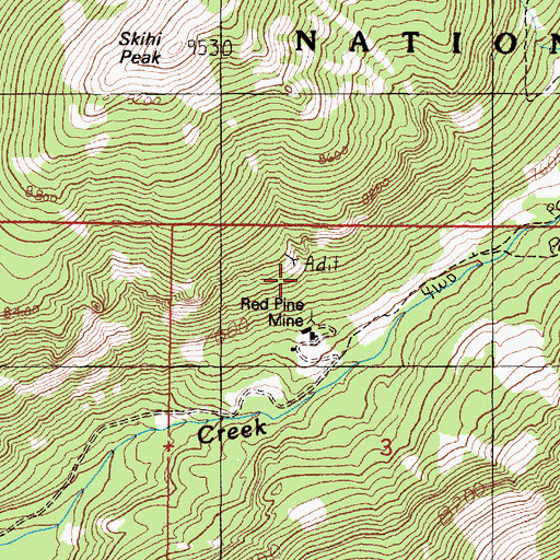 Topographic Map of Red Pine Mine, MT