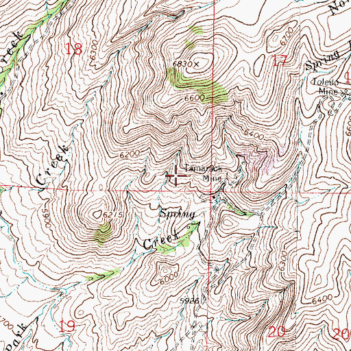 Topographic Map of Tamarack Mine, MT