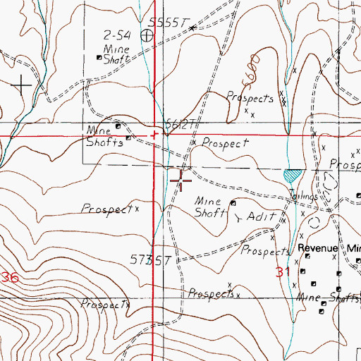 Topographic Map of Idaho Mine, MT