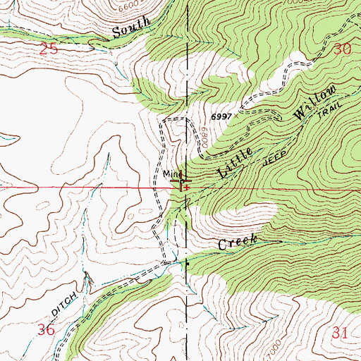 Topographic Map of Big Willow Mine, MT