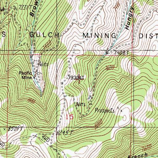 Topographic Map of Pacific Mine, MT