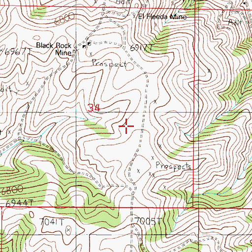 Topographic Map of El Fleeda Mine, MT