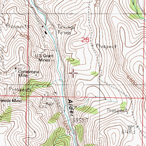 Topographic Map of Cabin Mine, MT