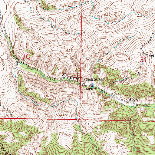Topographic Map of Cook Mine, MT