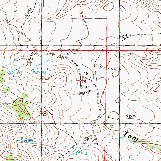 Topographic Map of Shamrock/Quincy Mine, MT