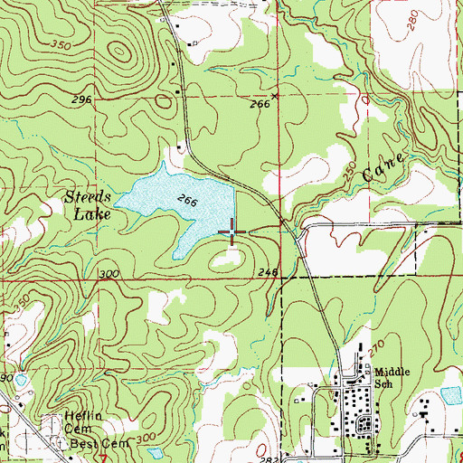 Topographic Map of Steed Lake Dam, AR