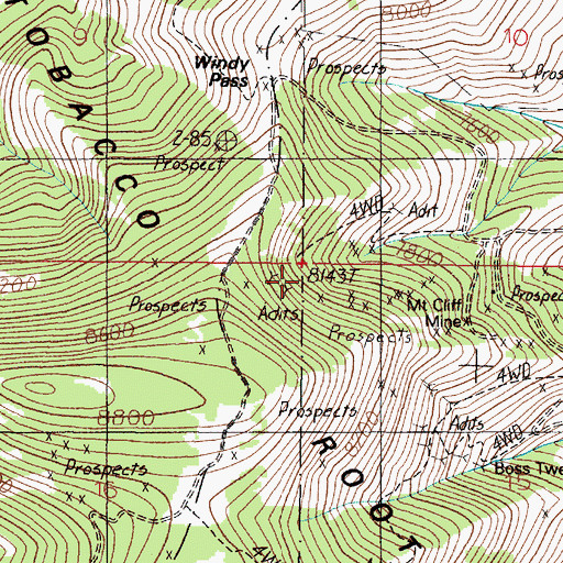 Topographic Map of White Pine Mine, MT