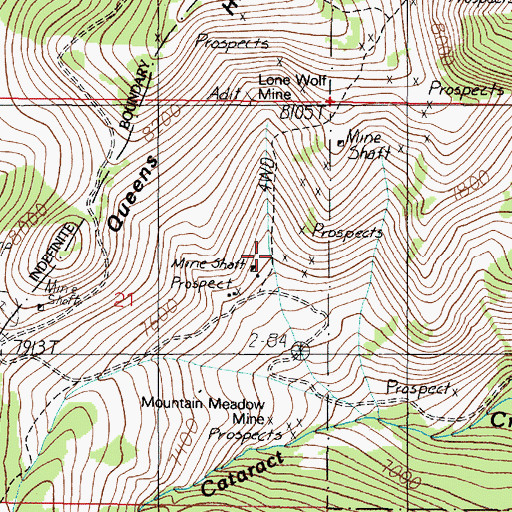Topographic Map of SE NE Section 21 Mine, MT