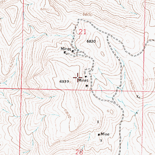Topographic Map of SW SE Section 21 Mine, MT