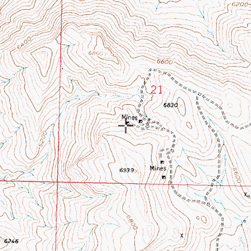 Topographic Map of NE SW Section 21 Mine, MT