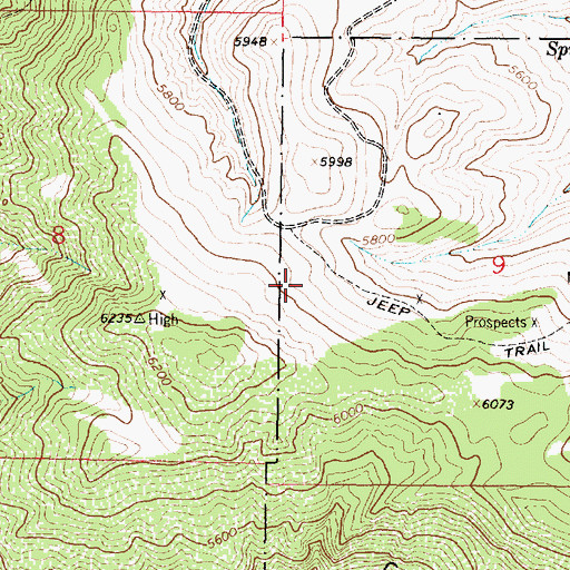 Topographic Map of NE SW Section 9 Mine, MT