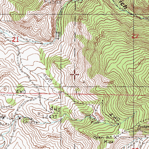 Topographic Map of SW SW Section 22 Mine, MT