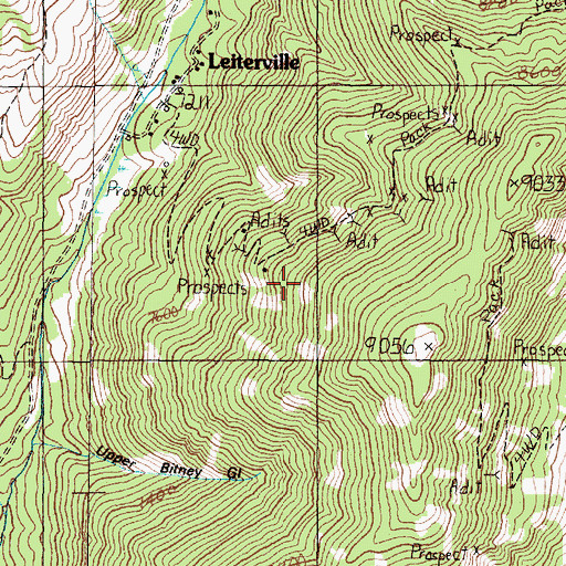 Topographic Map of Leiter Mine, MT