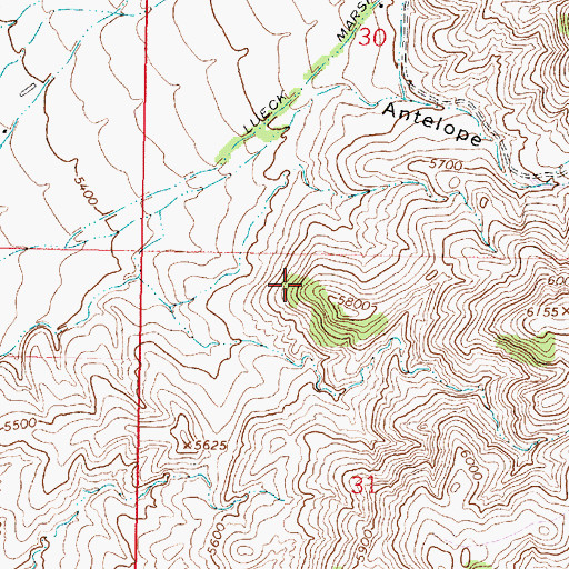 Topographic Map of Big Chief Mine, MT