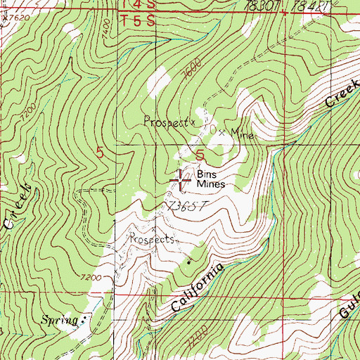 Topographic Map of Bins Mine, MT