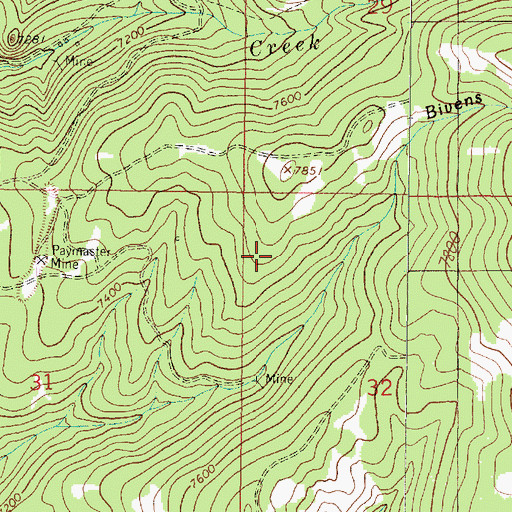 Topographic Map of Paymaster Mine, MT