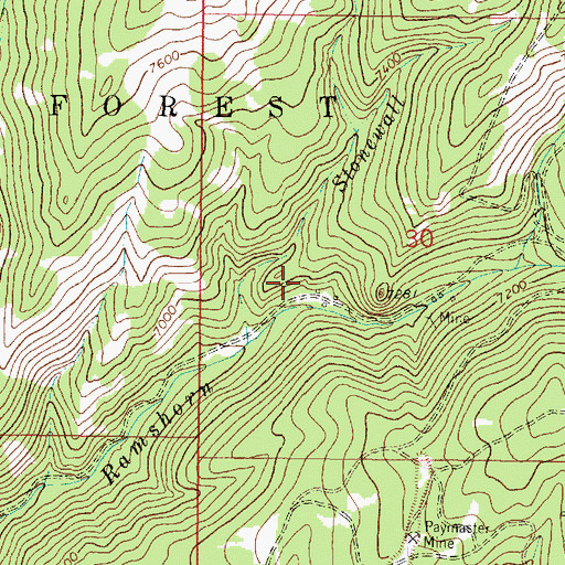 Topographic Map of NE SW Section 30 Mine, MT