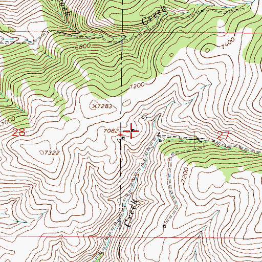 Topographic Map of Silver Bullion Mine, MT