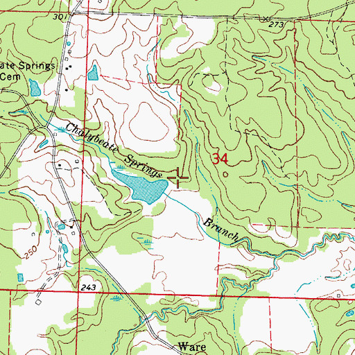 Topographic Map of Rasberry Lake Dam, AR