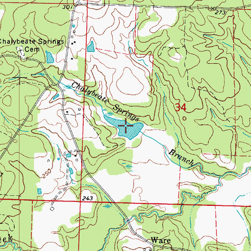 Topographic Map of Rasberry Lake, AR