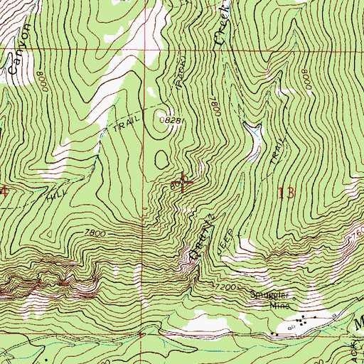 Topographic Map of SW SW Section 12 Mine, MT