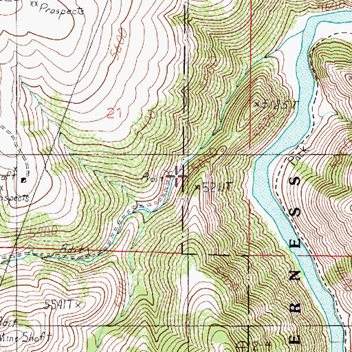 Topographic Map of NE SE Section 21 Mine, MT