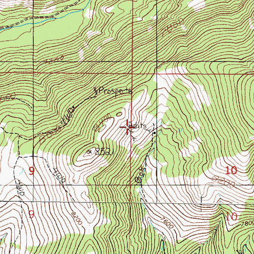 Topographic Map of Sunnyside Mine, MT
