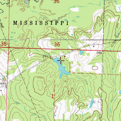 Topographic Map of Sale Lake Dam, AR