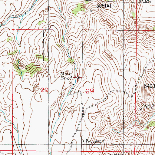 Topographic Map of SE NW Section 29 Mine, MT