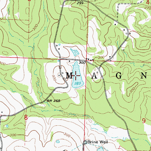 Topographic Map of Weber Lake, AR