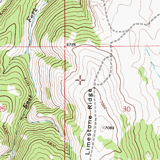 Topographic Map of SW SW Section 30 Mine, MT