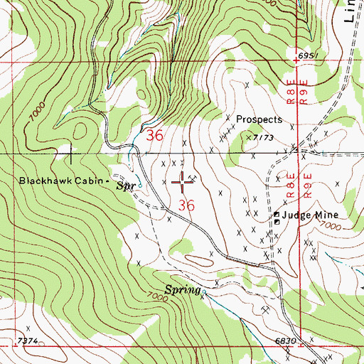 Topographic Map of Legal Tender Mine, MT