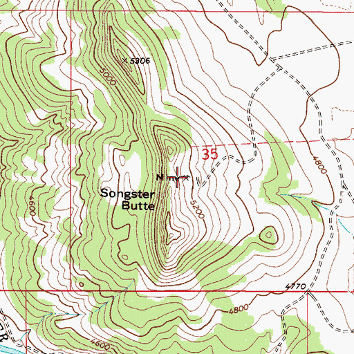 Topographic Map of Songster Butte Mine, MT