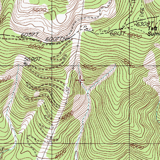 Topographic Map of Synidicate Prospect Mine, MT