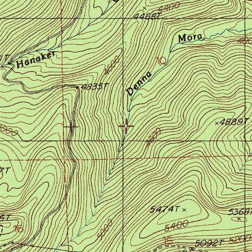 Topographic Map of Denemora Mine, MT