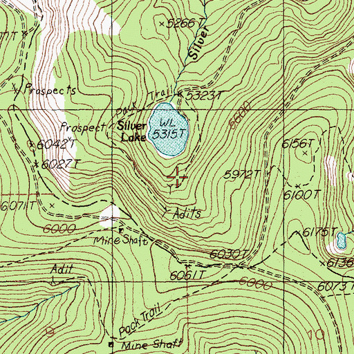 Topographic Map of Silver Lake Mine, MT
