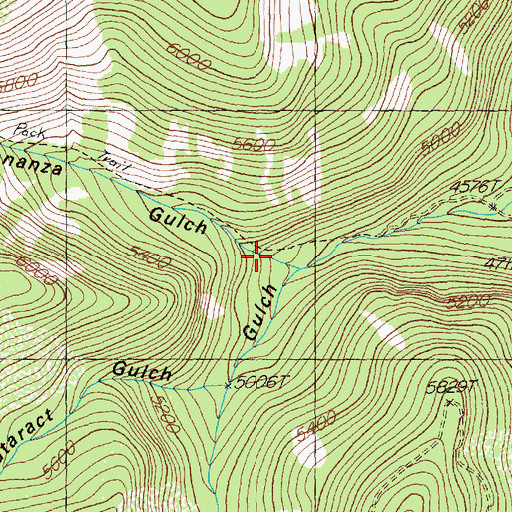 Topographic Map of Bonanza Gulch Mine, MT